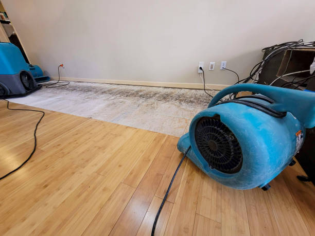 Reliable Basement Flood Cleanup contractor in Sherborn, MA by Hirex Water Damage