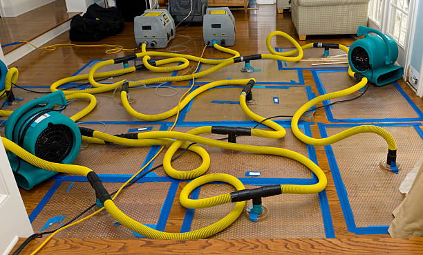 Professional Basement Flood Cleanup technician working in Sherborn, MA